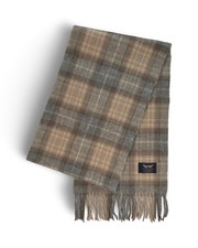 The Golden Eagle 100%