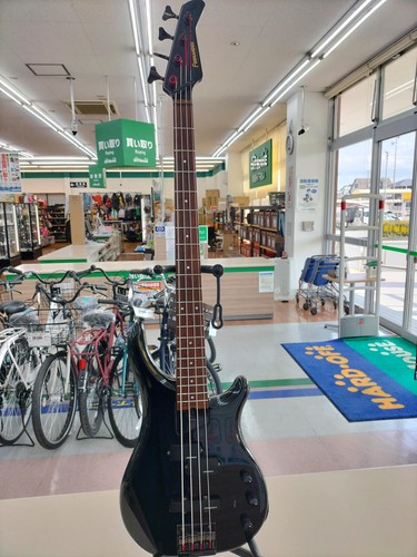 Fernandes frb electric bass - fernandes, frb-55
