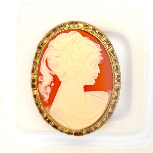 Vintage cameo brooch with - vintage,