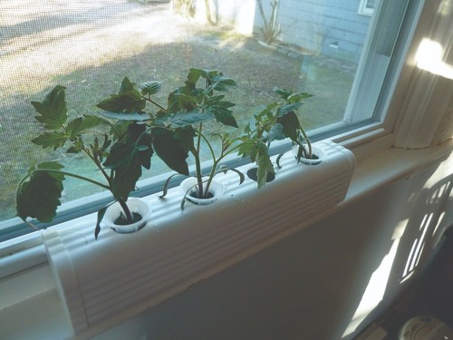 Complete hydroponic growing - hydroponic,