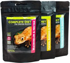 Komodo Crested Geckos Diet