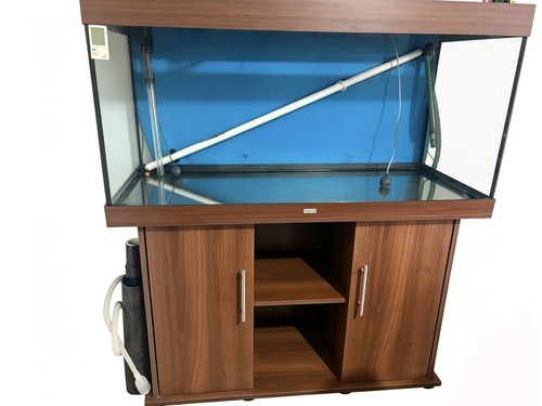 Juwel fish tank aquarium - fish,