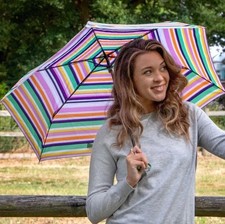 Totes Supermini Striped