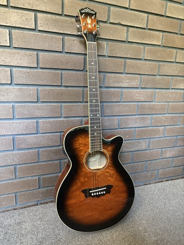 Washburn-EA18TS
