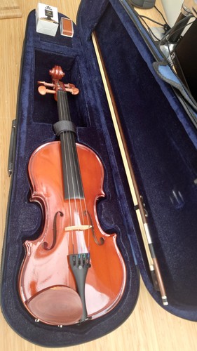 Violin mint - 4/4, (primavera)