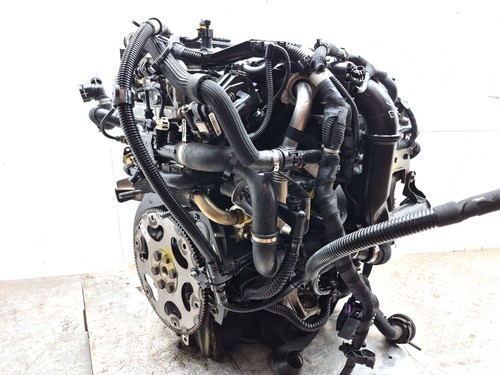 Alfa romeo giulia - alfa,