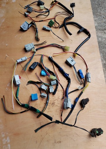 Wiring loom pig tails - loom,