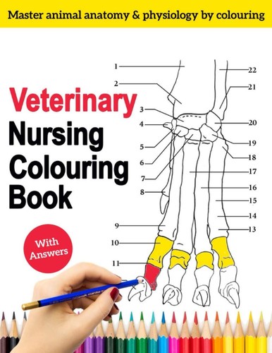 Veterinary nursing colouring - veterinary,