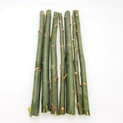 Austree hybrid willow trees - austree,