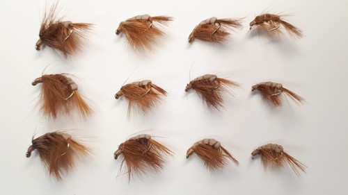 Brown shrimps mixed - 12, x