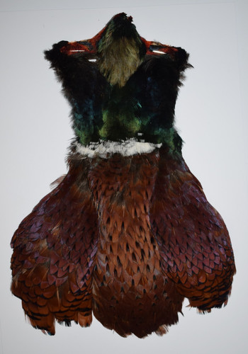 Cock pheasant cape - pheasant, (20)