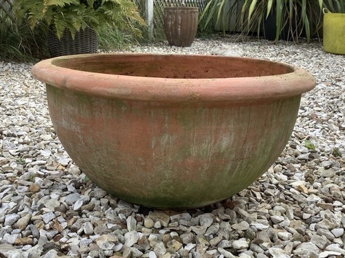 Large terracotta plant pot - plant,