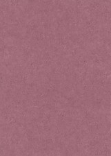 Erismann Gentle 10430-06