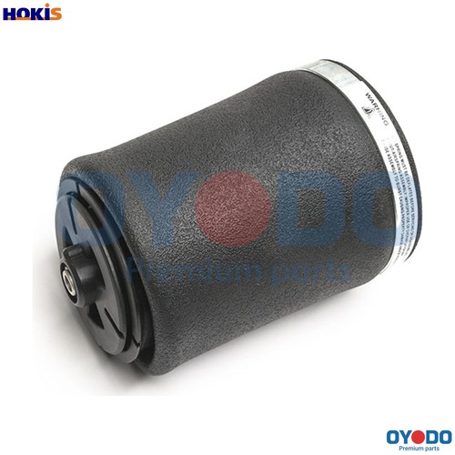 Air spring suspension - spring,