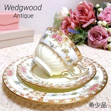 Rare Wedgwood Antique Flower Trio Cup Saucer Plate From Japan