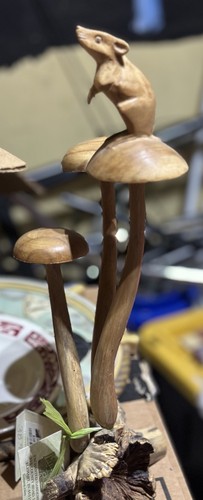Enchanted gardens wooden - enchanted,