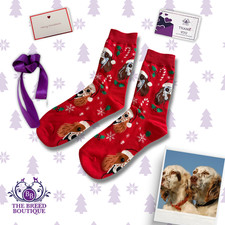 ENGLISH SETTER CHRISTMAS SOCKS RED FESTIVE DOG DESIGN MISPRINT CLEARANCE UNISEX