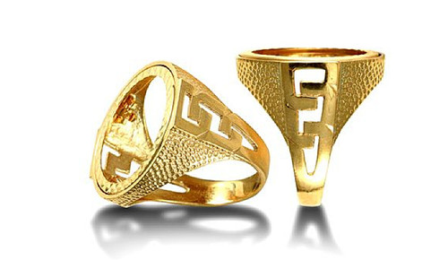9ct yellow gold half - gold, sovereign