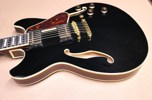 Ibanez artcore expressionist - artcore,