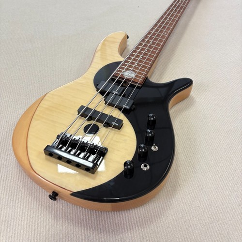 5strings electric bass - 5strings,