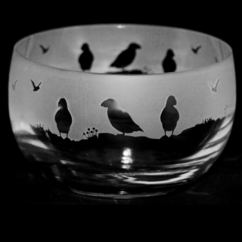 Milford collection animo glass - milford,