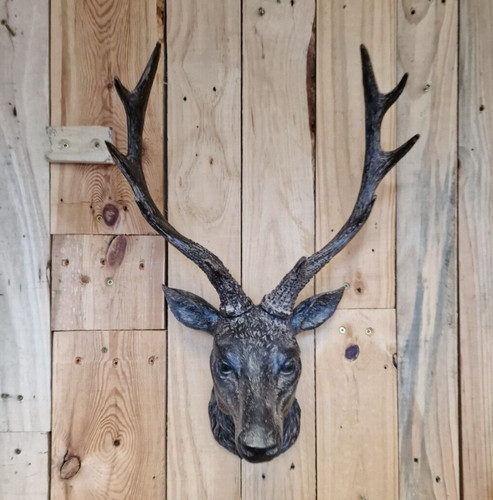 Wall mounted stag head - mounted,