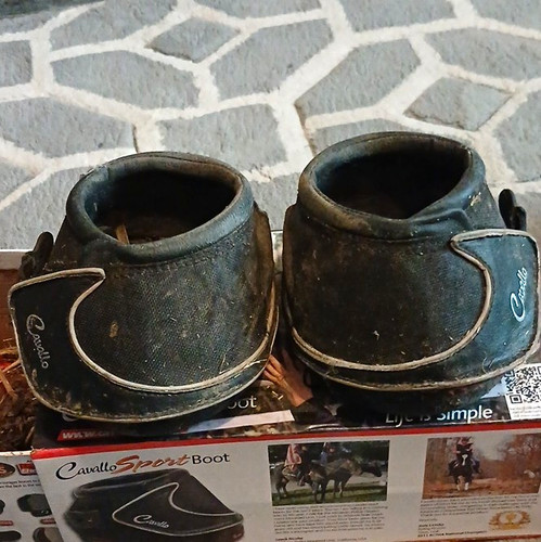 Cavallo sport hoof - cavallo,