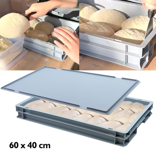 Pizza bread dough proofing - pizza,