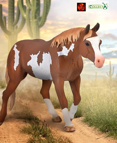 American paint horse chestnut - horse,