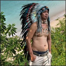 Warbonnet Native American Feather Headdress Indian Hat Chief Tribal Aboriginal M