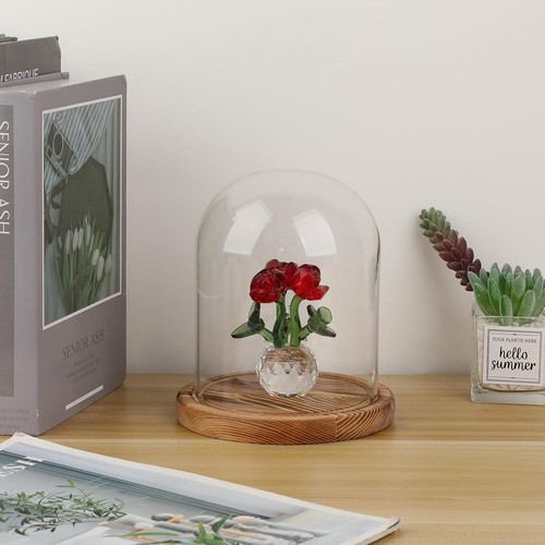 Glass display cloche dome with - display,