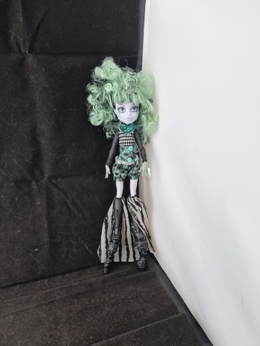 Monster high doll - high, freak