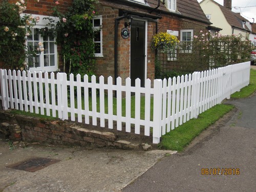White primed pointed - primed,