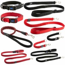 Ancol Extreme Padded Dog