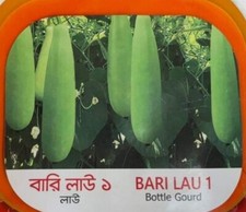BOTTLE GOURD