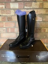 Brogini Albareto Piccino Field