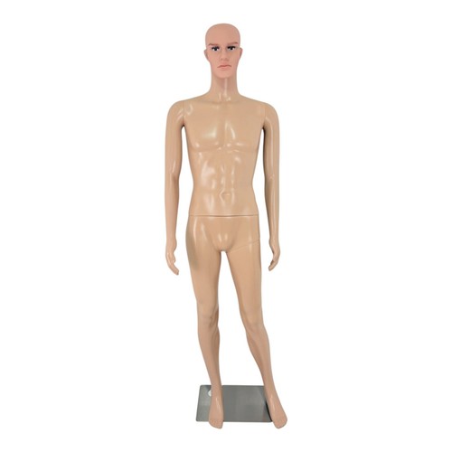 Male mannequin full body - male,