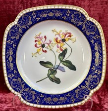 An Exquisite Spode The Cabinet