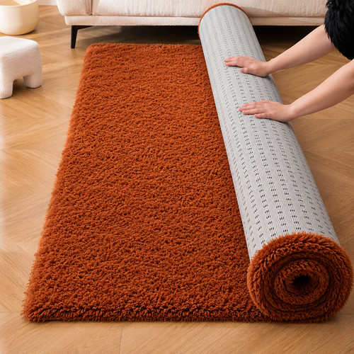 Large shaggy area - large, rugs