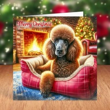 Standard Poodle Dog Christmas Card
