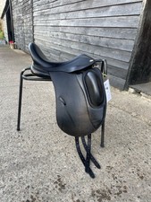 Harry Dabbs  allure dressage
