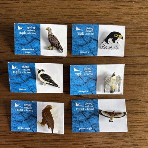 Rspb gnah bird prey pin - of,
