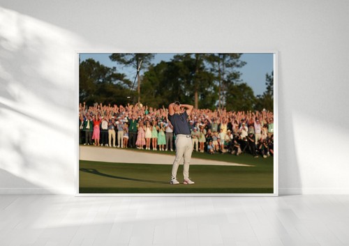 Rory mcilroy golf poster - rory,