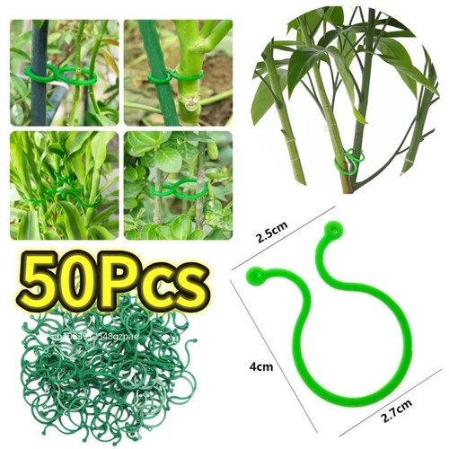 800 garden plant support - plant,