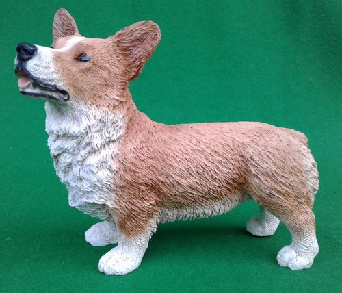 Castagna welsh corgi - welsh, corgi.
