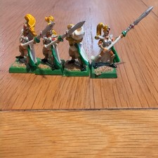 Warhammer Maiden Guard Metal X