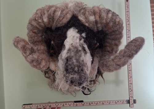 Boreray ram sheep needle - boreray,