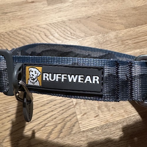 Ruffwear flat out - flat, dog