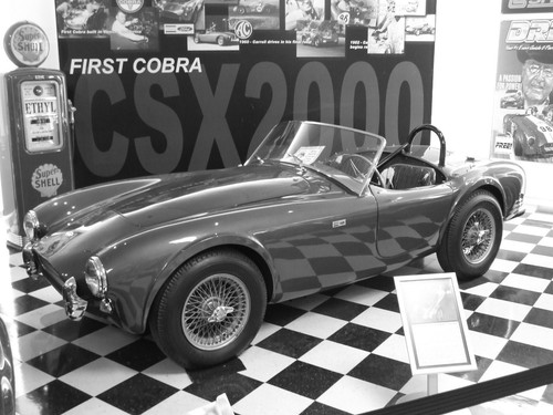 Shelby cobra csx2000 - shelby,