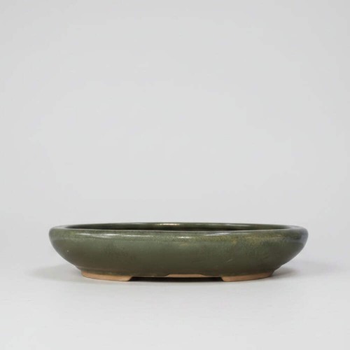 25cm glazed bonsai - glazed, oval